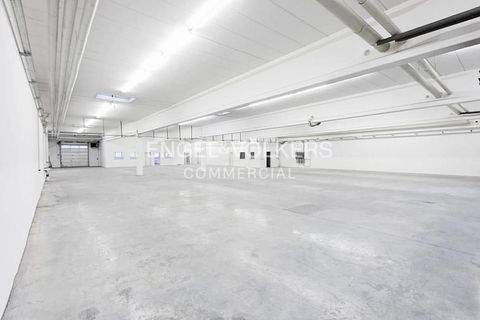 Berlin Halle, Berlin Hallenfläche