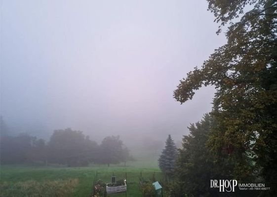..beruhigend auch bei Nebel...