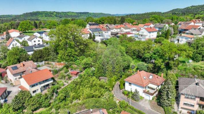 Luftaufnahme_Lemberg_BP_Schafalm 12