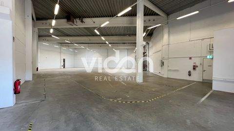 Düsseldorf Halle, Düsseldorf Hallenfläche