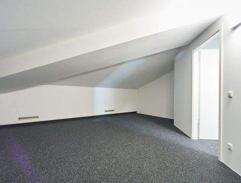 Grasbrunn Halle, Grasbrunn Hallenfläche