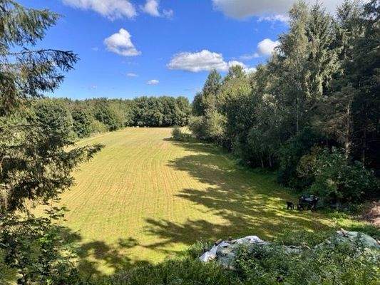 Blick über die Pferdeweide