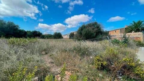 Campos Grundstücke, Campos Grundstück kaufen