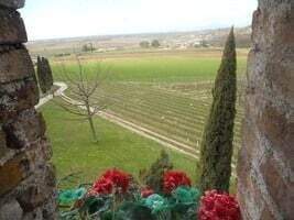 Castello Torreano in den Colli Orientali del Friuli