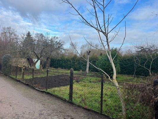 Groß (IMG_9543).jpeg