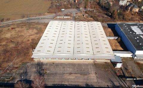 Dresden Halle, Dresden Hallenfläche