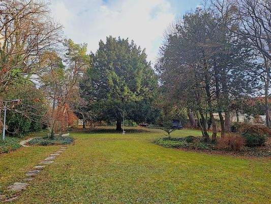 großer gepflegter Gemeinschaftsgarten