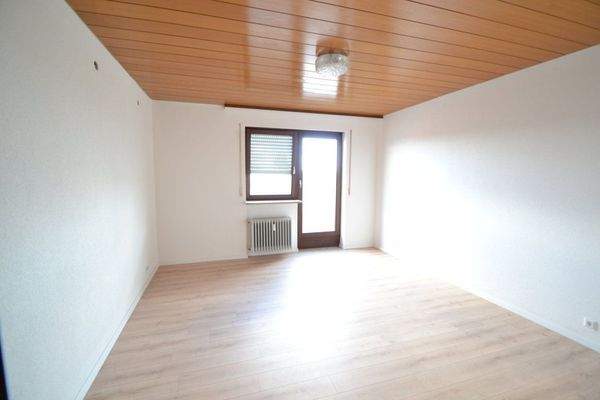 DSC_0111 (FILEminimizer)