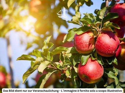 Trento Grundstücke, Trento Grundstück kaufen