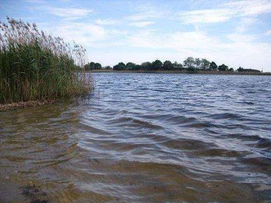 Natur-See straßenseitig gegenüber Wohnhaus