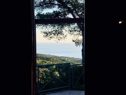 PHOTO-2024-12-11-21-49-57 18.jpeg