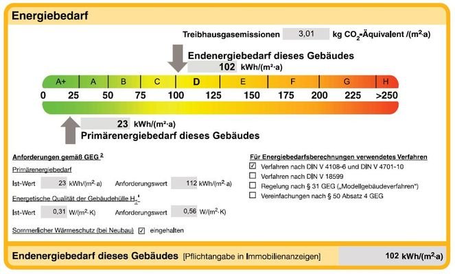 Auszug Enegerausweis