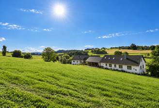 Sonniger Blick über Ihre grüne Landschaft