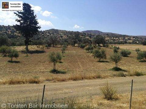 Sivas Grundstücke, Sivas Grundstück kaufen