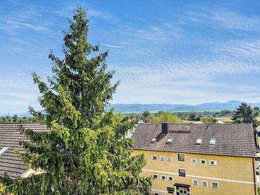 Ausblick Wohnzimmer Ostseite