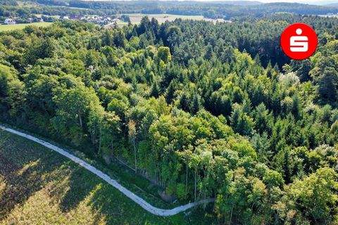 Altdorf Bauernhöfe, Landwirtschaft, Altdorf Forstwirtschaft