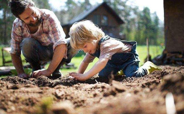 Garten für deinen grünen Daumen