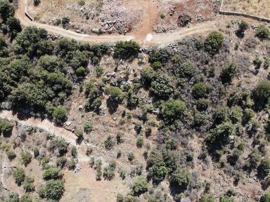 Kreta, Neo Chorio: Traumhaftes Grundstück mit Bergblick im Apokoronas zu verkaufen