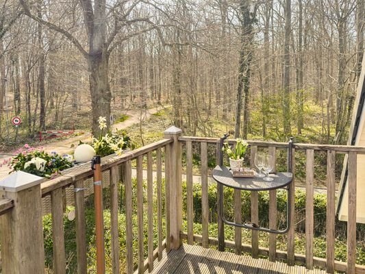 Blick vom Balkon Richtung Wald.jpg
