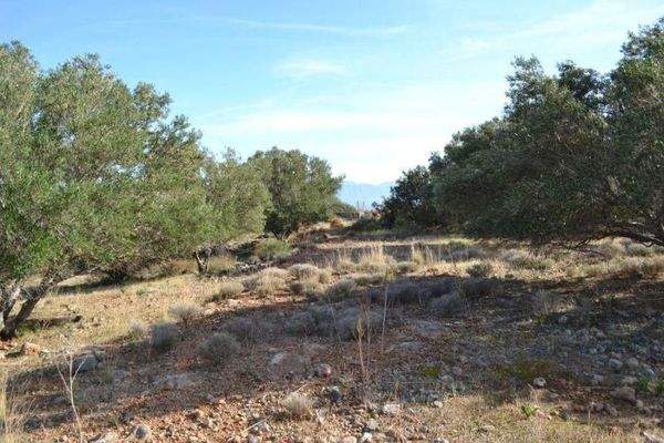 Grundstück am Meer in Touristengebiet zum Verkauf auf Kreta
