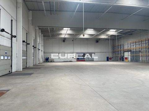 Duisburg Halle, Duisburg Hallenfläche