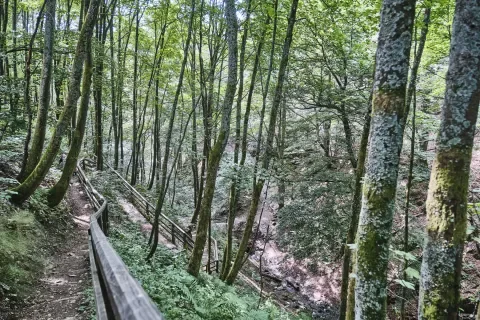 Winterberg Wohnungen, Winterberg Wohnung kaufen