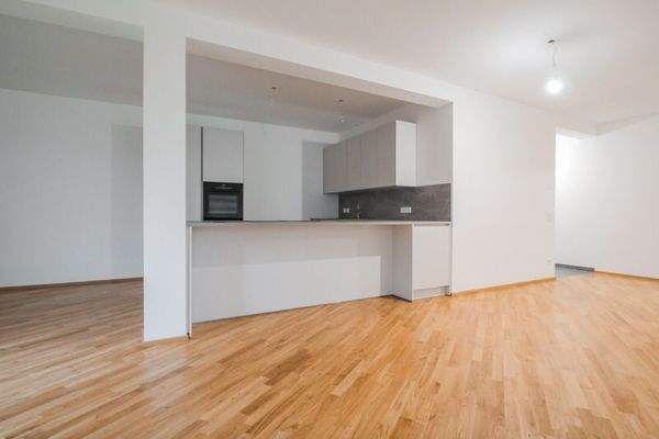 01_Wohnraum + Küche_1