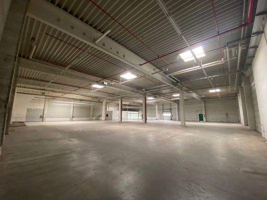 Halle Eichenweg 0410 .jpeg