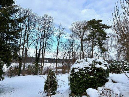 Blick auf die Moorwiesen