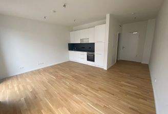 Raum mit Einbauküche