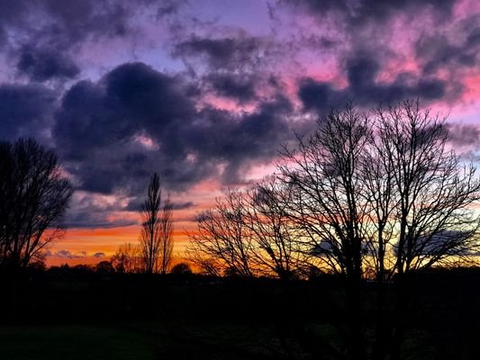 Blick aus dem Garten
