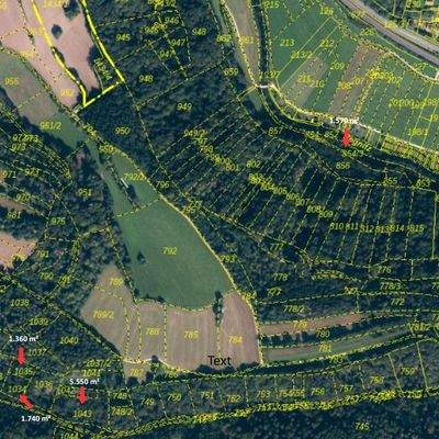 Vorra Wald (760 x 760 px)