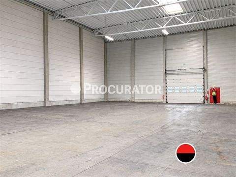 Hamburg Halle, Hamburg Hallenfläche