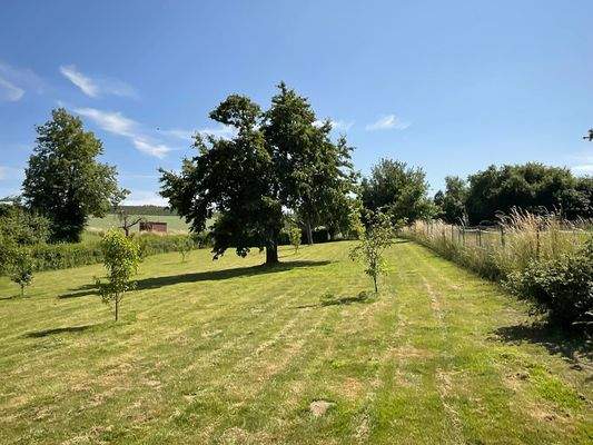 IMG_5944 Garten.JPEG