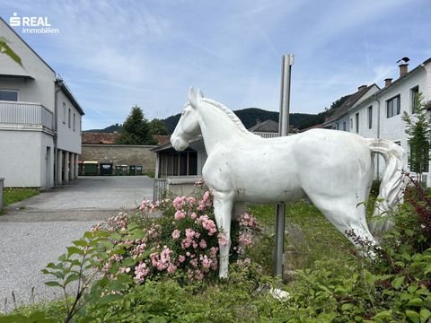 Köflach Renditeobjekte, Mehrfamilienhäuser, Geschäftshäuser, Kapitalanlage