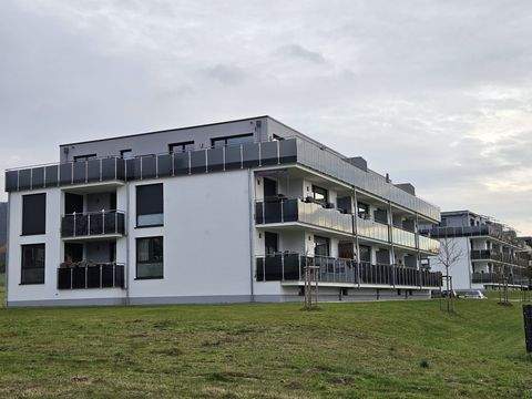 Bad Pyrmont Wohnungen, Bad Pyrmont Wohnung mieten