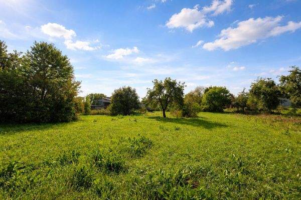 Riesiges Grundstück im Innenbereich - Laut Bayernatlaus baureif und erschließungsbeitragsfrei