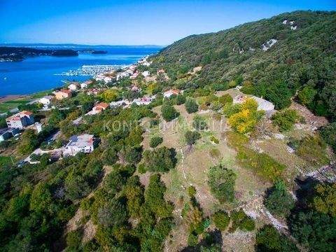 Rab Bauernhöfe, Landwirtschaft, Rab Forstwirtschaft