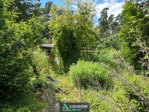 Schulzendorf Grundstücke, Schulzendorf Grundstück kaufen