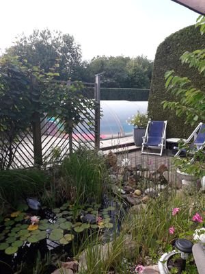 Garten mit Pool im Hintergrund