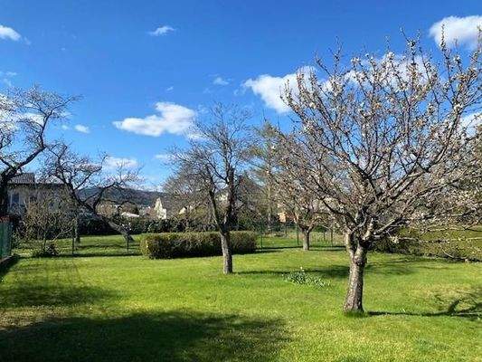 eingezäunter Garten