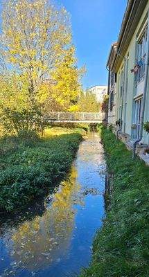 Bachlauf Hausrückseite