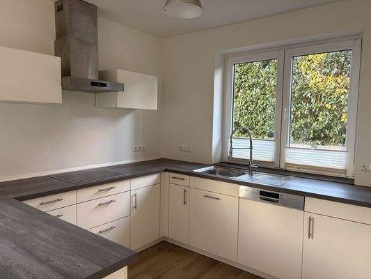 moderne Einbauküche