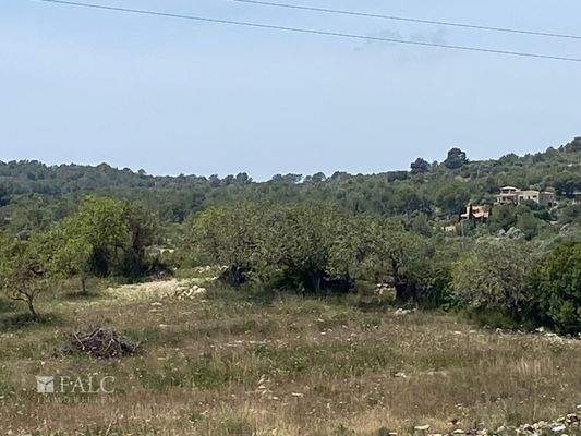 Blick auf den Bauplatz