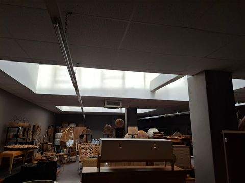 Chemnitz Halle, Chemnitz Hallenfläche