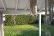 Garten mit Baumbestand