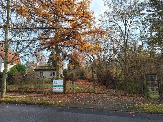 Blick auf das Grundstück