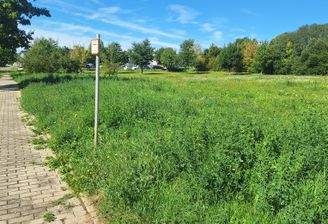 Blick in Richtung Otto-von-Guericke-Straße