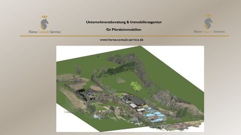 Holler Bauernhöfe, Landwirtschaft, Holler Forstwirtschaft