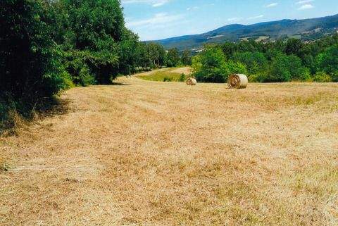 Viernau Grundstücke, Viernau Grundstück kaufen